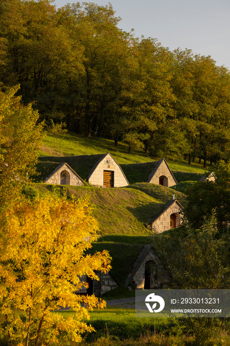 Autumnal Gombos-hegyi pincesor in Hercegkut, UNESCO site, Great Plain, North Hungary