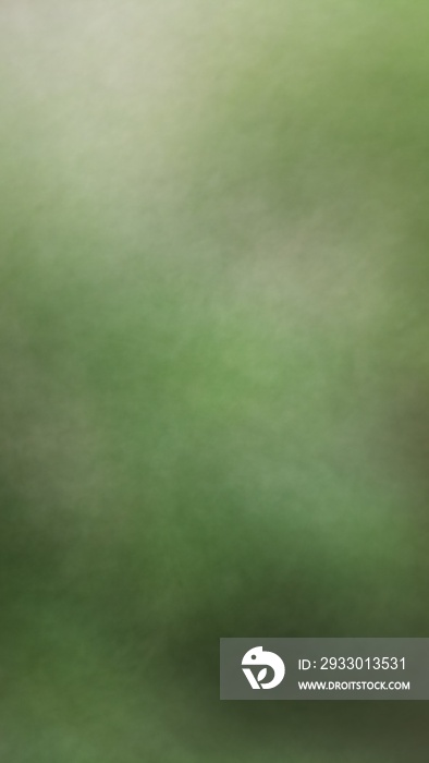 Blurred abstract background of green, white, black, red, orange and purple.