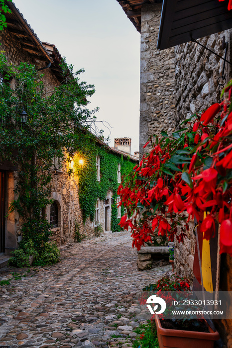 typical street with ivy and red flowers on the walls of the medieval village of Perouges in Lyon France.