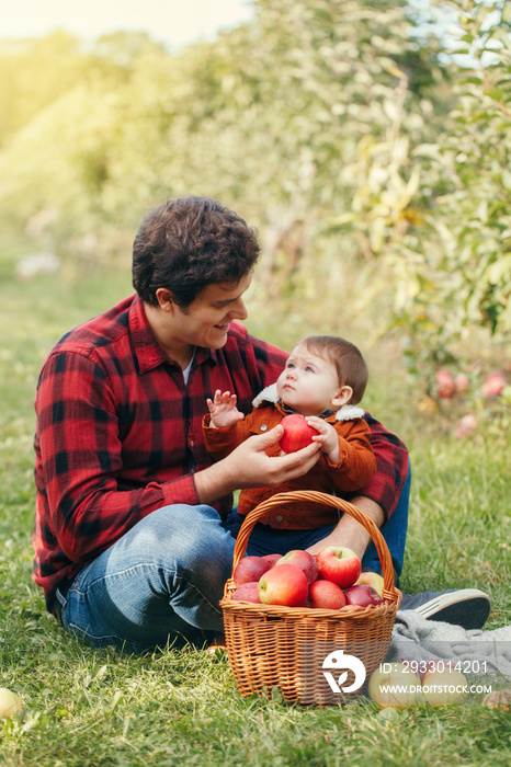 Happy father with baby boy on farm picking apples in wicker basket. Gathering of autumn fall harvest in orchard. Dad feeding son with healthy snack. Seasonal activity hobby.