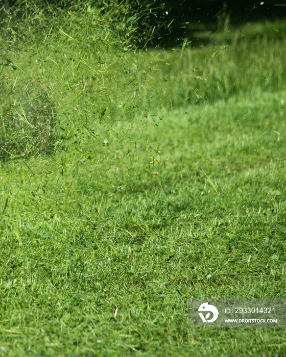 Abstract background with flying grass cuttings, soft focus