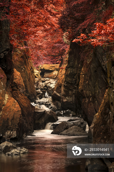 Stunning ethereal landscape of deep sided gorge with rock walls and stream flowing through surreal deep red foliage