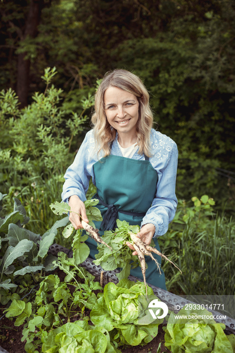 young beautiful blonde woman harvesting horseradish in the garden and is happy