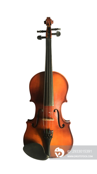 the violin isolated