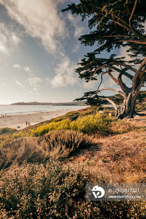 sunset over the beach in carmel by the sea