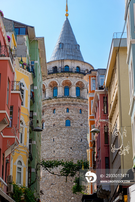 Galata Tower on a sunny day, from a street with colored houses and a plant in the middle