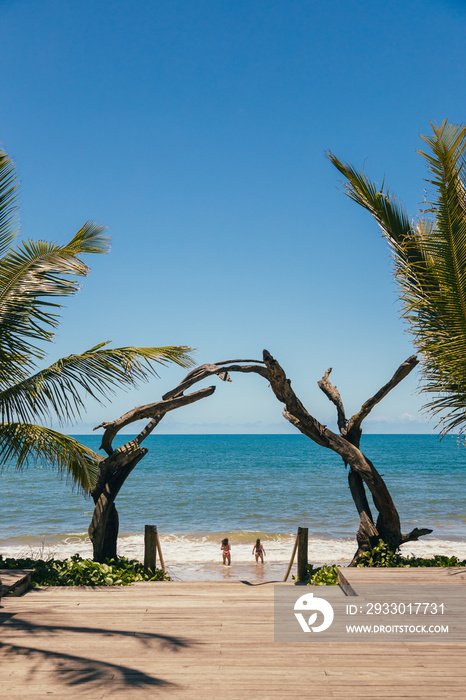 Portal to Caraíva Beach with palm trees