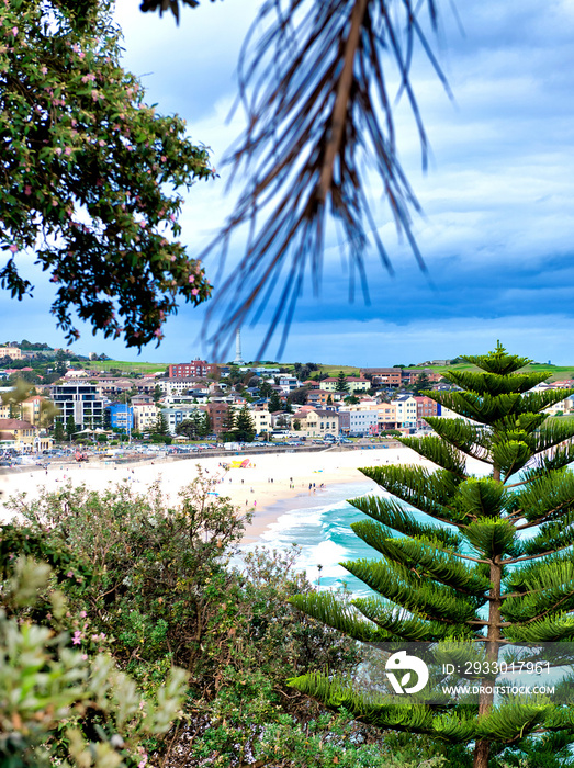 Houses and trees of Bondi Beach coastline, Australia