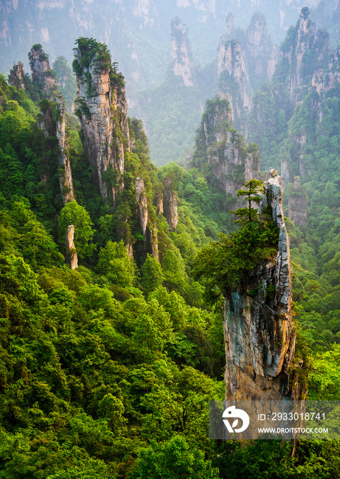 Zhangjiajie National forest park at sunset, Wulingyuan, Hunan, China