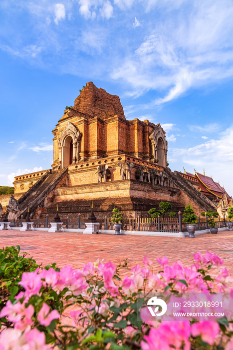 Chedi Luang Varavihara temple with ancient large pagoda is 700 years in Chiang Mai, Thailand.