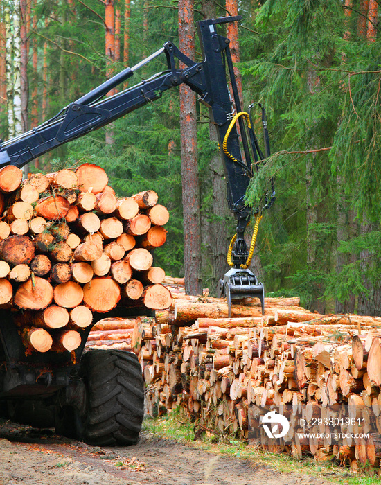 Lumberjack with modern harvester working in a forest. Wood as a source renewable energy.