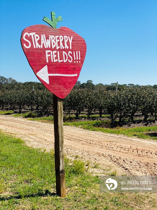 Strawberry Fields sign picking  strawberries in a farm in central Florida Clermont stock photo royalty free