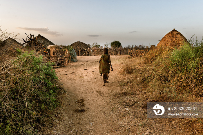 Hamer Tribe Village at Omo Valley, Konso, South of Ethiopia Milking cows in the morning