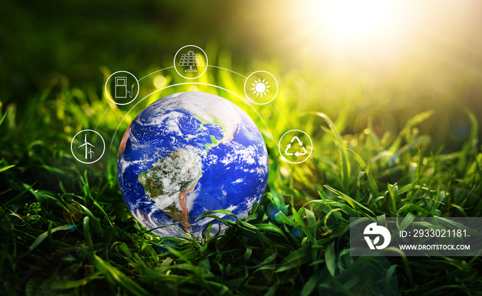 Planet earth  on grass at sunny background with energy resources icon. Earth day. Energy saving concept. Development Green Business Investment. Elements of this image are furnished by NASA