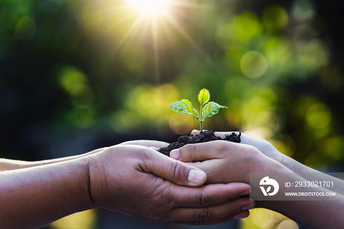 mother and child holding young plant with sunlight on green nature background. concept eco earth day