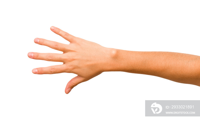 caucasian hands gesturing isolated on a white background