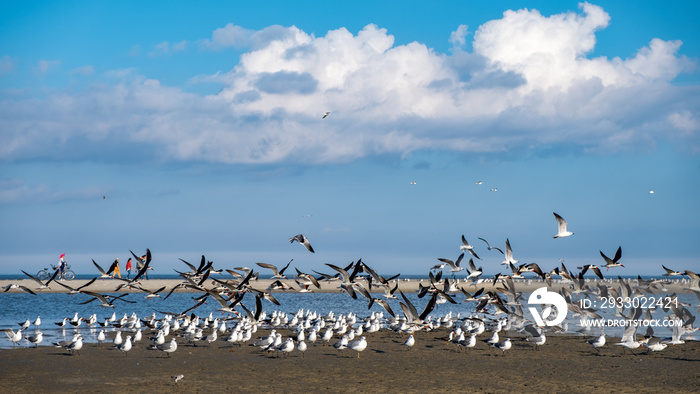 Hilton Head Island, SC