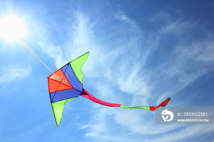 Kite flying in the sky