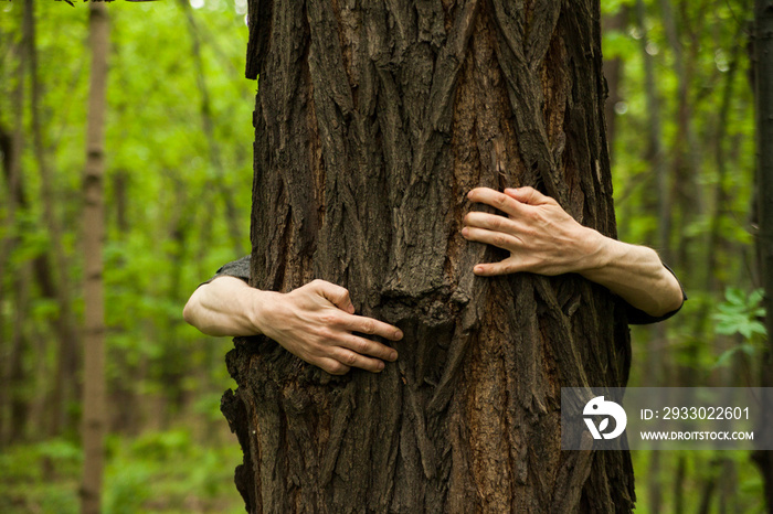 hands on an old tree trunk