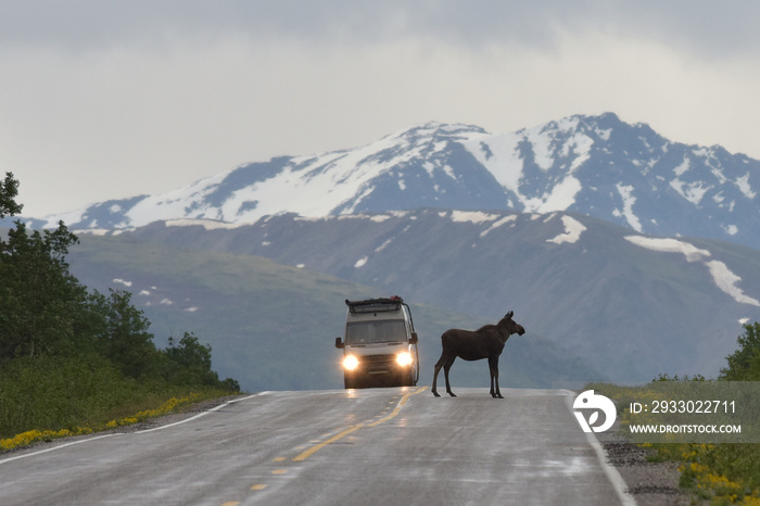 Alaska Roadblock