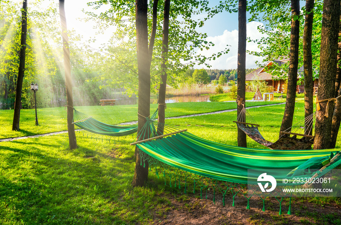 Garden and hammock