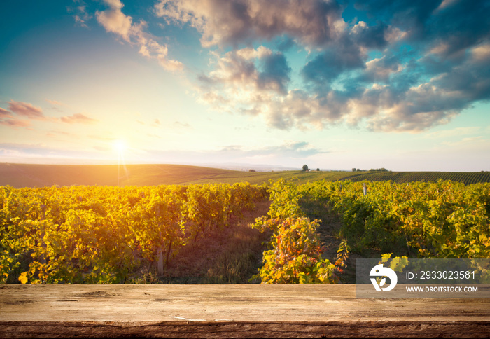 Red wine with barrel on vineyard in green Tuscany, Italy