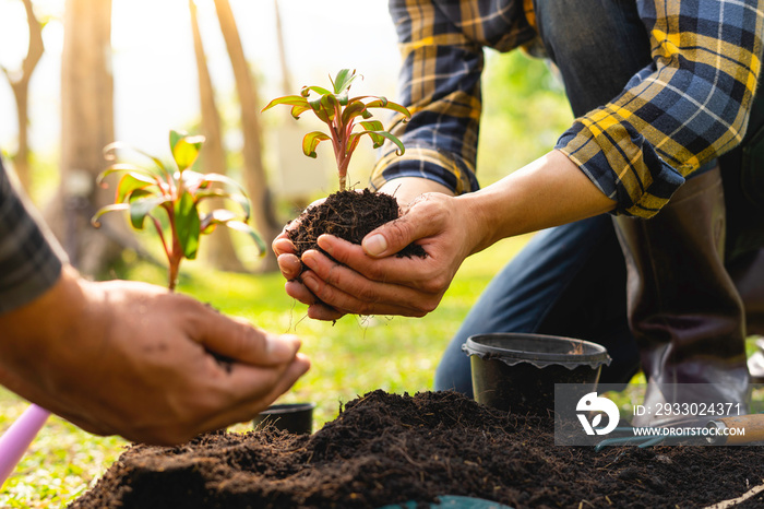 two young men are planting a tree to preserve the environment, plant tree concept to reduce global warming, eco concept green world, nature, environment, and ecology