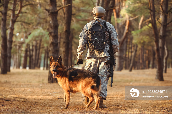 Soldier with military working dog outdoors