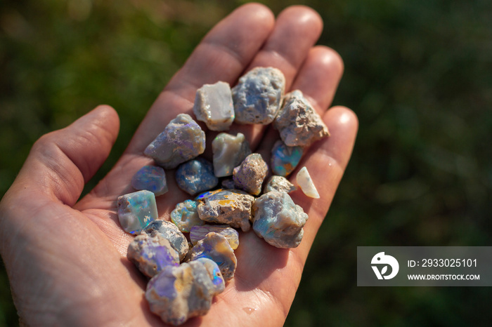 Lightning Ridge black opal rough in a hand