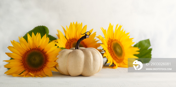 Autumn still life with sunflowers and white pumpkin..Autumn arrangement on a white wooden table.