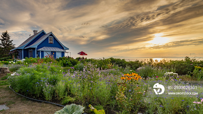 Flower garden in Kamouraska, Quebec