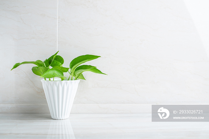 A bottle of green dill plants on a clean bathroom tile countertop