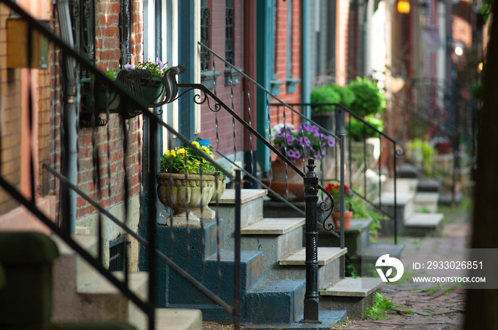 Flowers on the stoop