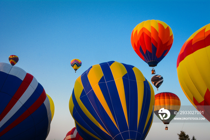 Balloon Festival