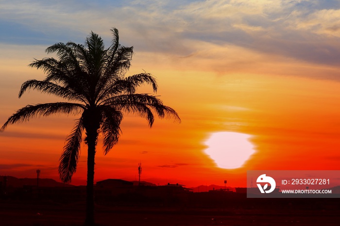 sunset beautiful colorful landscape in blue sky evening nature twilight time and silhouette tree