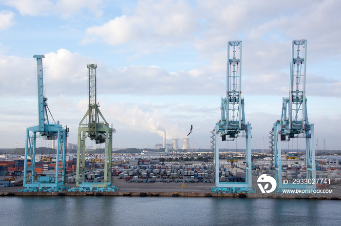 Jacksonville Port Cranes