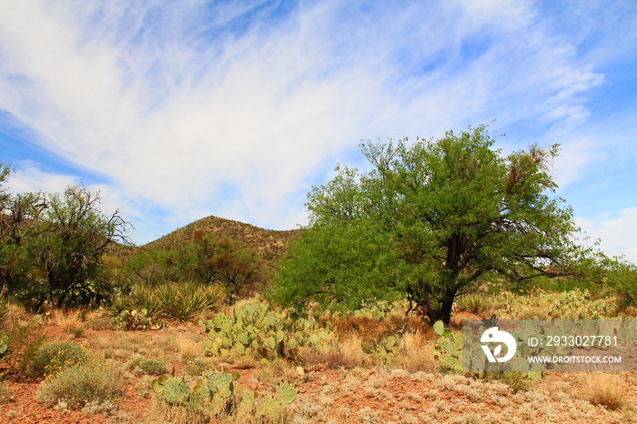 Scenic mountain view in Colossal Cave Mountain Park in Vail, Arizona, USA near Tucson.