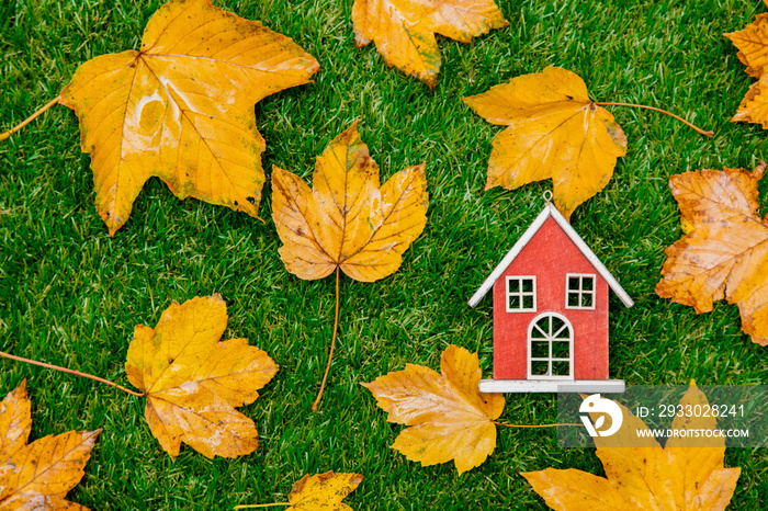 Golden autumn maple leaves and little wooden house on green grass. Above view