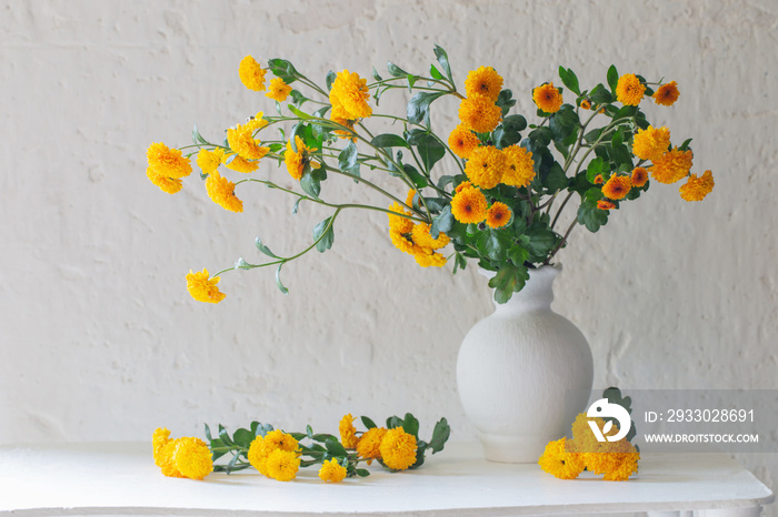 yellow chrysanthemums in white vase on background old white wall