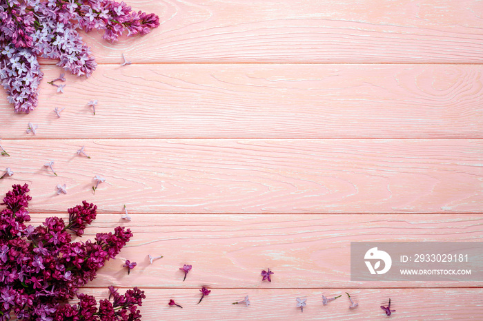 The beautiful lilac on a pink wooden background, copy spase