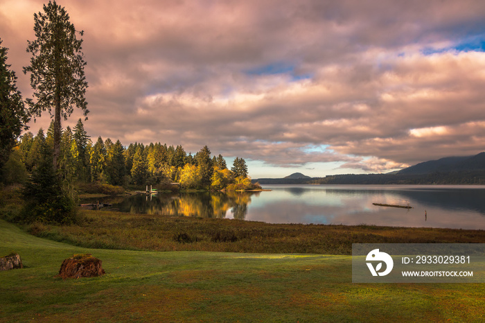 Sunlit point of trees jutting into Lake Quinault with reflections and lush green foreground. 