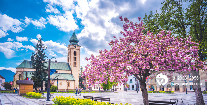 View in sunny day with blossoming tree . buildings in the city center of Liptovsky Mikulas. town in northern Slovakia, in the historical Liptov region. Catolic church