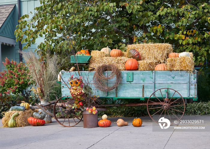 Pumpkins and gourds in wagon during an autumn harvest