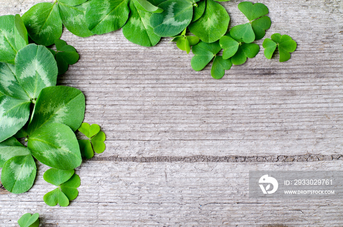 Border of fresh green shamrock leaves on a old wooden background. Template to Saint Patricks day greeting card.