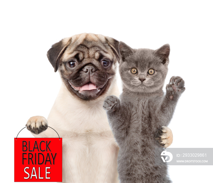 Pug puppy with cat holds shopping bag with black friday text. isolated on white background