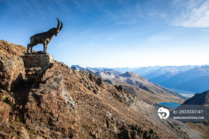 Ibex above Piz Nair mountain range with lake in the Alps, Engadine, Switzerland