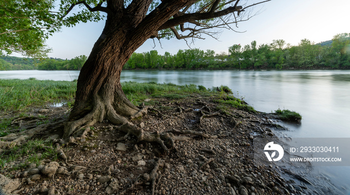 Berges du fleuve Saône autour de Fontaines-sur-Saône dans le département du Rhône au printemps