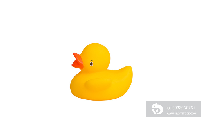 Rubber duck isolated on white background