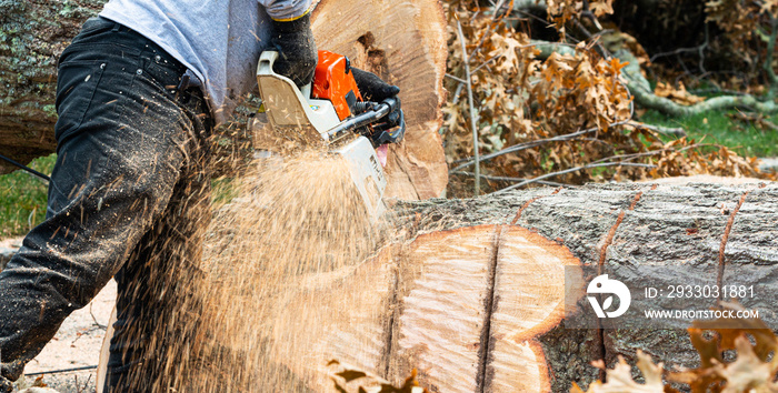 Chainsaw slicing up a large tree trunk while cleaning up after a wind storm