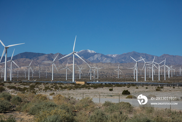 wind power plant in texas